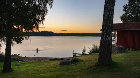 Sjön sommarkväll