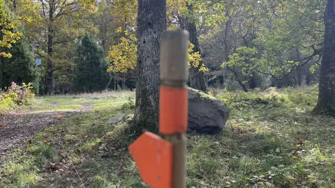Löpspår
