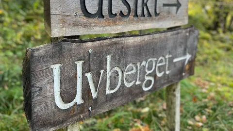 Utsikt Uvberget