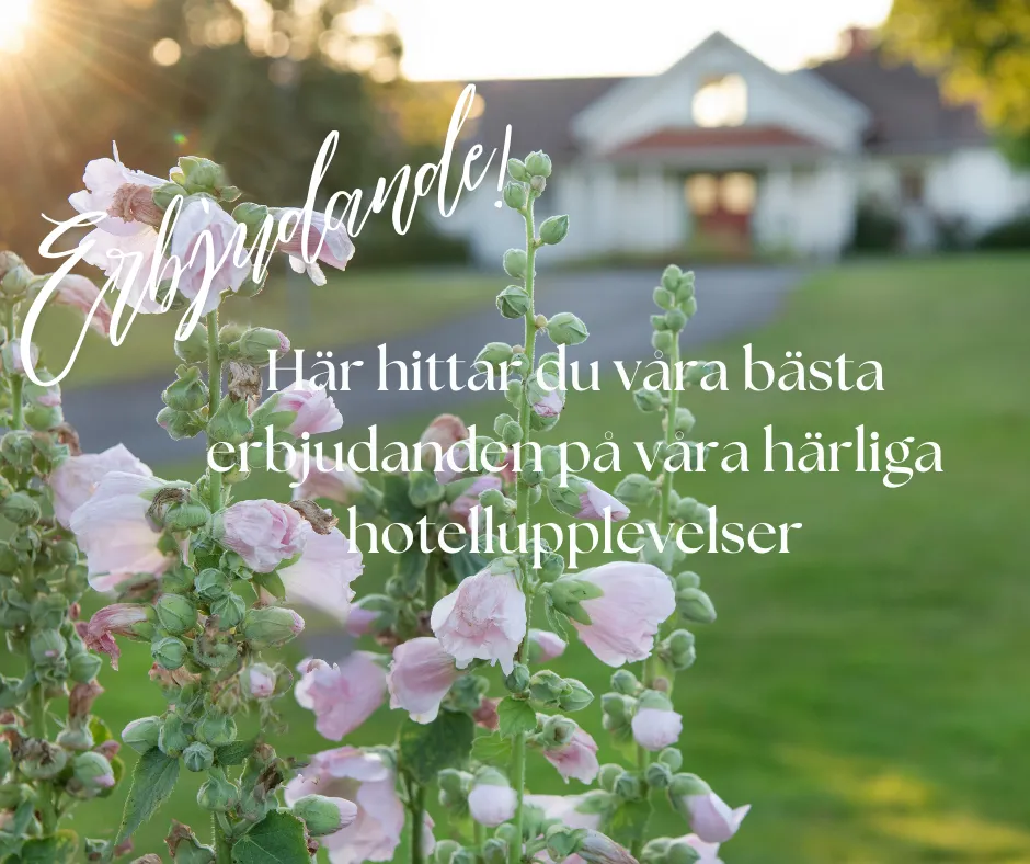 Erbjudanden!