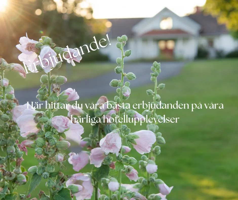 Erbjudanden!