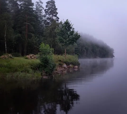 morgon vid vattnet